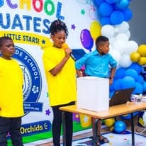 Stem